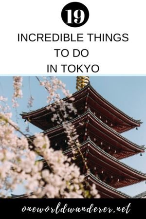 The most fun things to do in Tokyo including famous attractions, hidden gems, and crazy experiences. Plus helpful Tokyo tips. #tokyo #japan #traveljapan