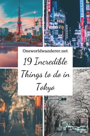 The most fun things to do in Tokyo including famous attractions, hidden gems, and crazy experiences. Plus helpful Tokyo tips. #tokyo #japan #traveljapan