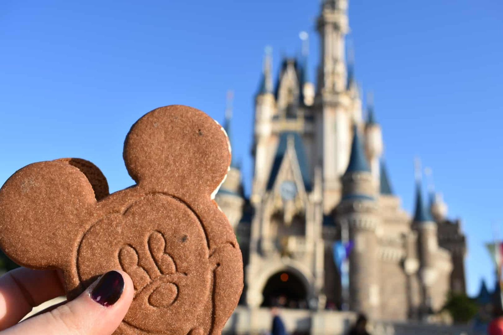 Eating your weight in pastries in Tokyo is amongst the most incredible things to do in Tokyo including famous attractions, hidden gems, cherry blossom trees, and top Tokyo bucketlist items. Plus helpful Tokyo tips and tricks for first timers and solo travellers. #tokyo #japan #traveljapan