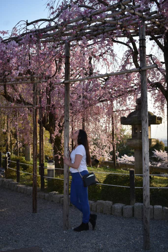 Cherry Blossom Season is one of the most beautiful things to do and see in Japan. Cherry Blossom Season in Japan, or Sakura Season, is a bucketlist item most people dream of seeing. Here are some of the most stunning photos to fuel your wanderlust. #cherryblossoms #japan #sakuraseason