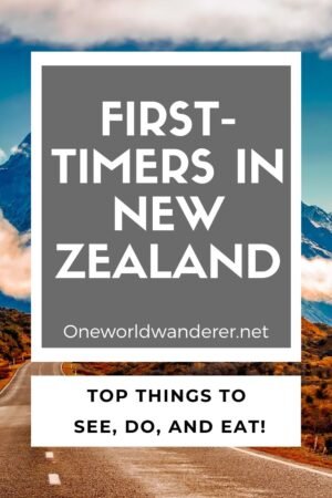 First-Timers in Queenstown. Everything you need to know before you go, do, and eat while you are there! The Ultimate guide to Queenstown and New Zealand travel for all adventurers!
