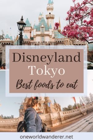 The Best Disneyland Tokyo Food Ever #disneylandfood. How I ate my way through Disneyland Tokyo. The ultimate list of must-try food at Disneyland! When you’re planning a trip to Disneyland on a budget, you don’t want to waste money on food that’s not worth the money. Use these eating at Disneyland tips and secrets to get your money’s worth out of every last bite! #japan #tokyo