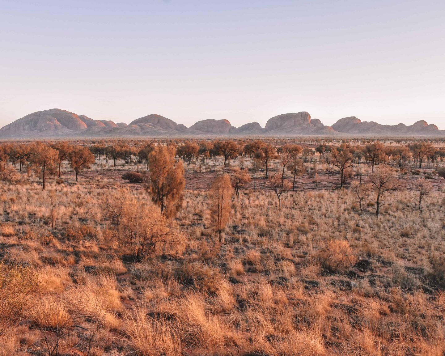 Looking for the perfect tour of Uluru and surroundings? You found it! Find out the best itinerary with the Rock Tours and information about Uluru, Kings Canyon, Kata Tjuta and surroundings. Everything you need to know about the perfect Red Centre itinerary.