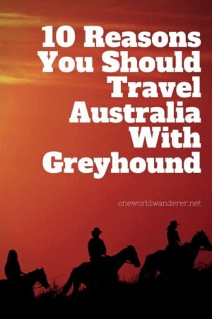 Travelling Australia can be cheap, comfortable, and easy if you know how to do it right! Greyhound buses is the ultimate way to travel Australia and tick off your Australian bucket list. #travelaustralia #budgettravel