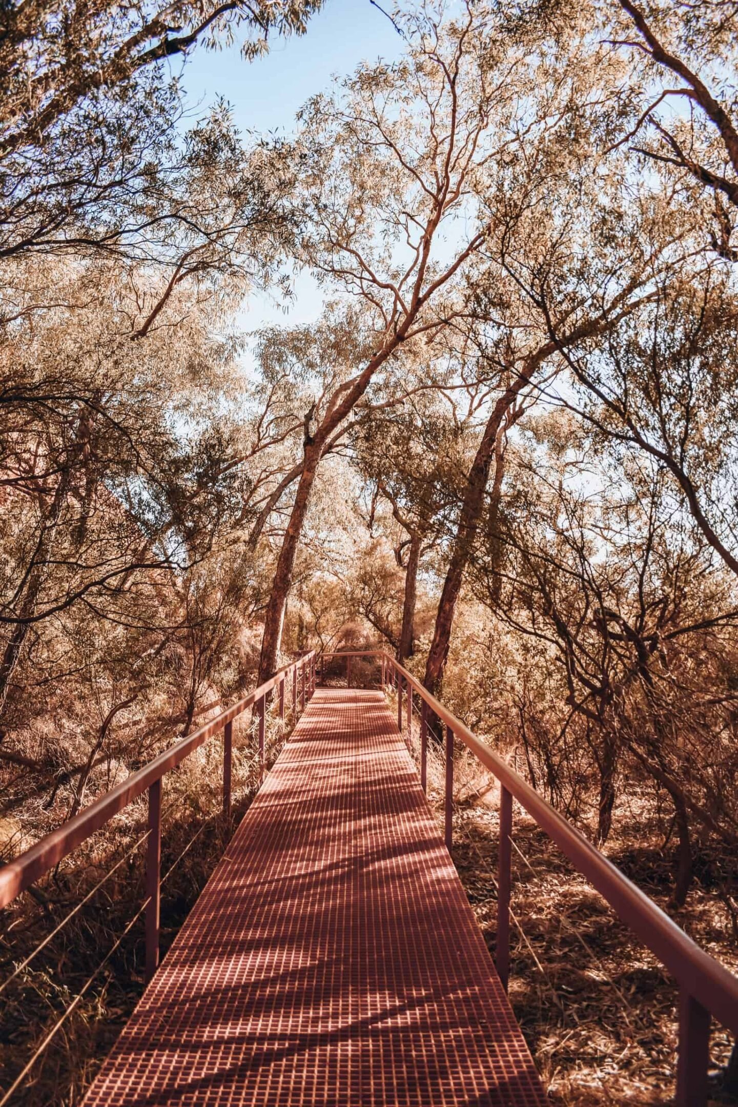 Looking for the perfect tour of Uluru and surroundings? You found it! Find out the best itinerary with the Rock Tours and information about Uluru, Kings Canyon, Kata Tjuta and surroundings. Everything you need to know about the perfect Red Centre itinerary.