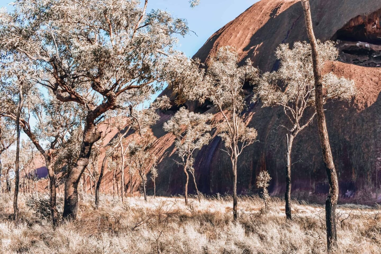 Looking for the perfect tour of Uluru and surroundings? You found it! Find out the best itinerary with the Rock Tours and information about Uluru, Kings Canyon, Kata Tjuta and surroundings. Everything you need to know about the perfect Red Centre itinerary.