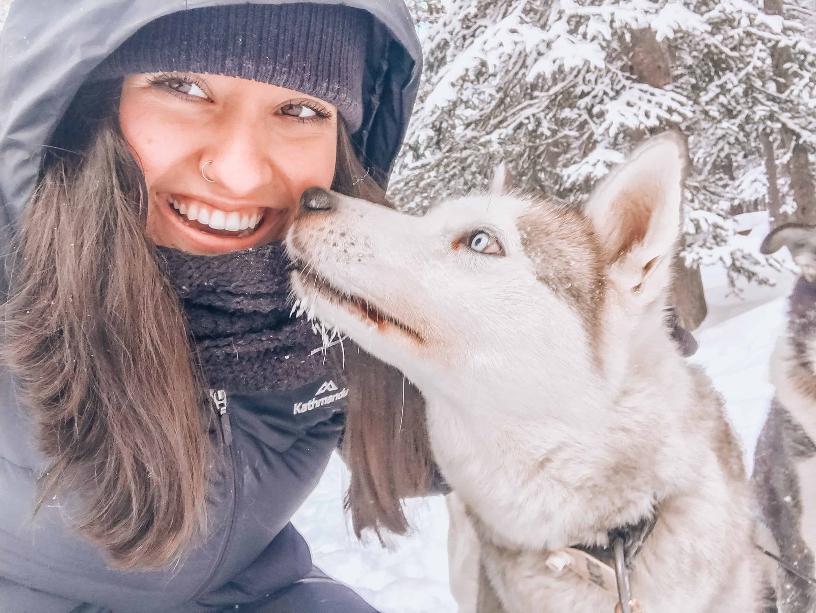 It’s the quintessential Canadian adventure, dog sledding in Alberta Canada- home of the Canadian Rockies. If you are planning a winter vacation, or holiday to Banff, Lake Louise, or Canmore, you must add dog sledding to your winter activity list! Perfect for all travellers, backpackers, solo travellers, families! #winter #canada #banff #dogsledding