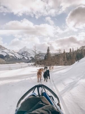 It’s the quintessential Canadian adventure, dog sledding in Alberta Canada- home of the Canadian Rockies. If you are planning a winter vacation, or holiday to Banff, Lake Louise, or Canmore, you must add dog sledding to your winter activity list! Perfect for all travellers, backpackers, solo travellers, families! #winter #canada #banff #dogsledding