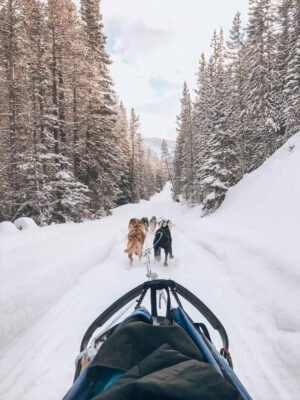 It’s the quintessential Canadian adventure, dog sledding in Alberta Canada- home of the Canadian Rockies. If you are planning a winter vacation, or holiday to Banff, Lake Louise, or Canmore, you must add dog sledding to your winter activity list! Perfect for all travellers, backpackers, solo travellers, families! #winter #canada #banff #dogsledding