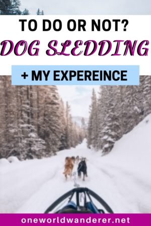 It’s the quintessential Canadian adventure, dog sledding in Alberta Canada- home of the Canadian Rockies. If you are planning a winter vacation, or holiday to Banff, Lake Louise, or Canmore, you must add dog sledding to your winter activity list! Perfect for all travellers, backpackers, solo travellers, families! #winter #canada #banff #dogsledding