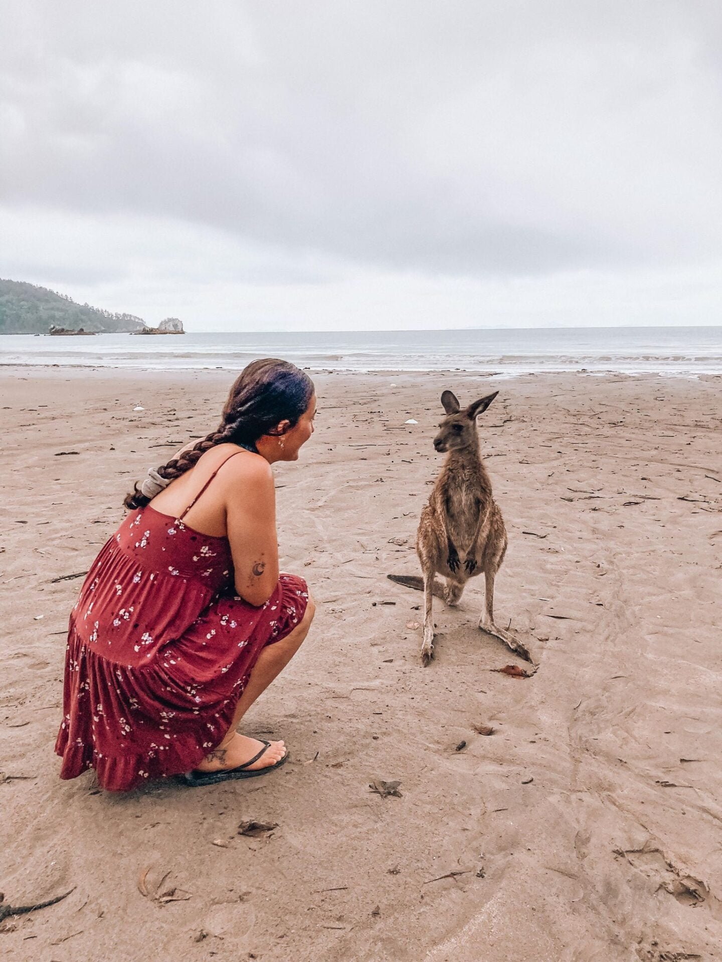 Cape Hillsborough campgrounds in North Queensland while on my vanlife trip around Australia as a solo female traveller