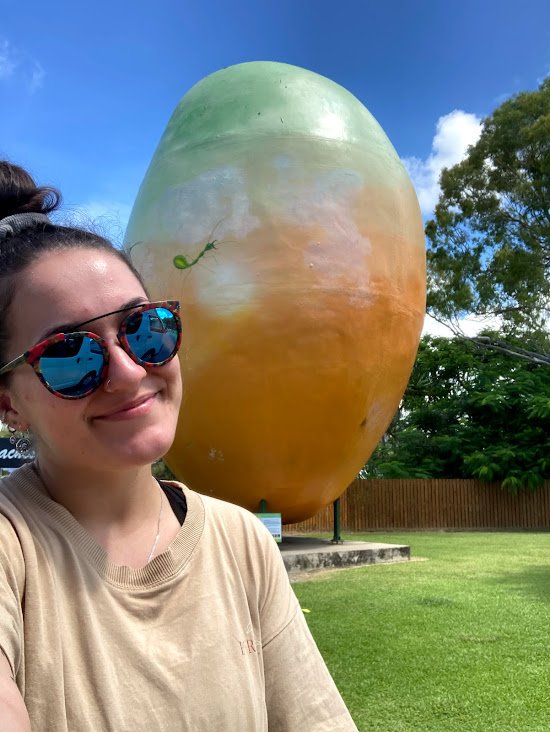 Bowen mango, North Queensland- travelling Queensland, Australia in my van as a solo female traveller 