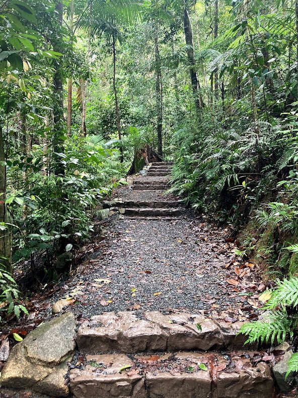 Visiting Finch Hatton Gorge in North Queensland while travelling in a van as a solo female traveller