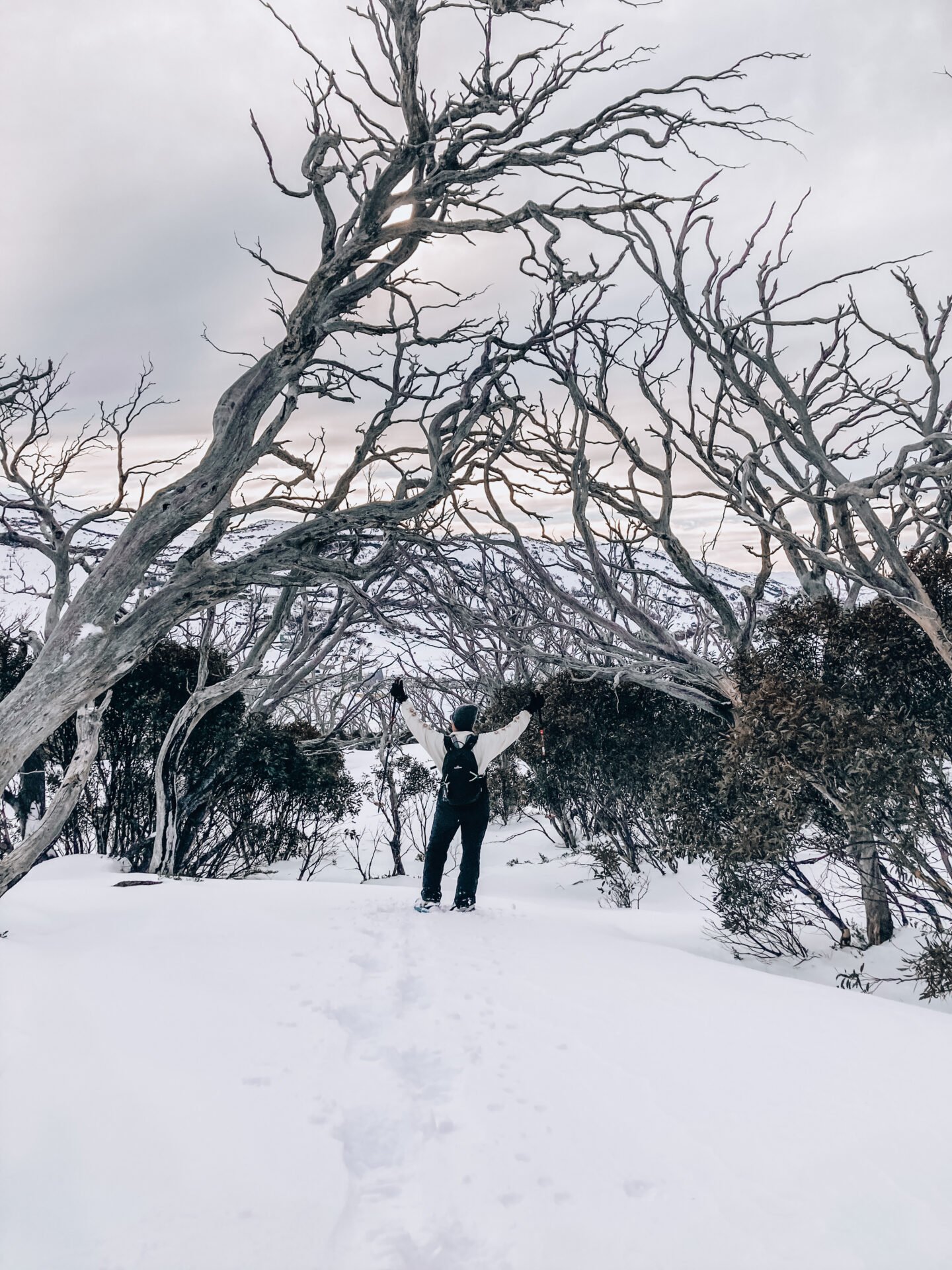 Snowshoeing in Jindabyne in Winter