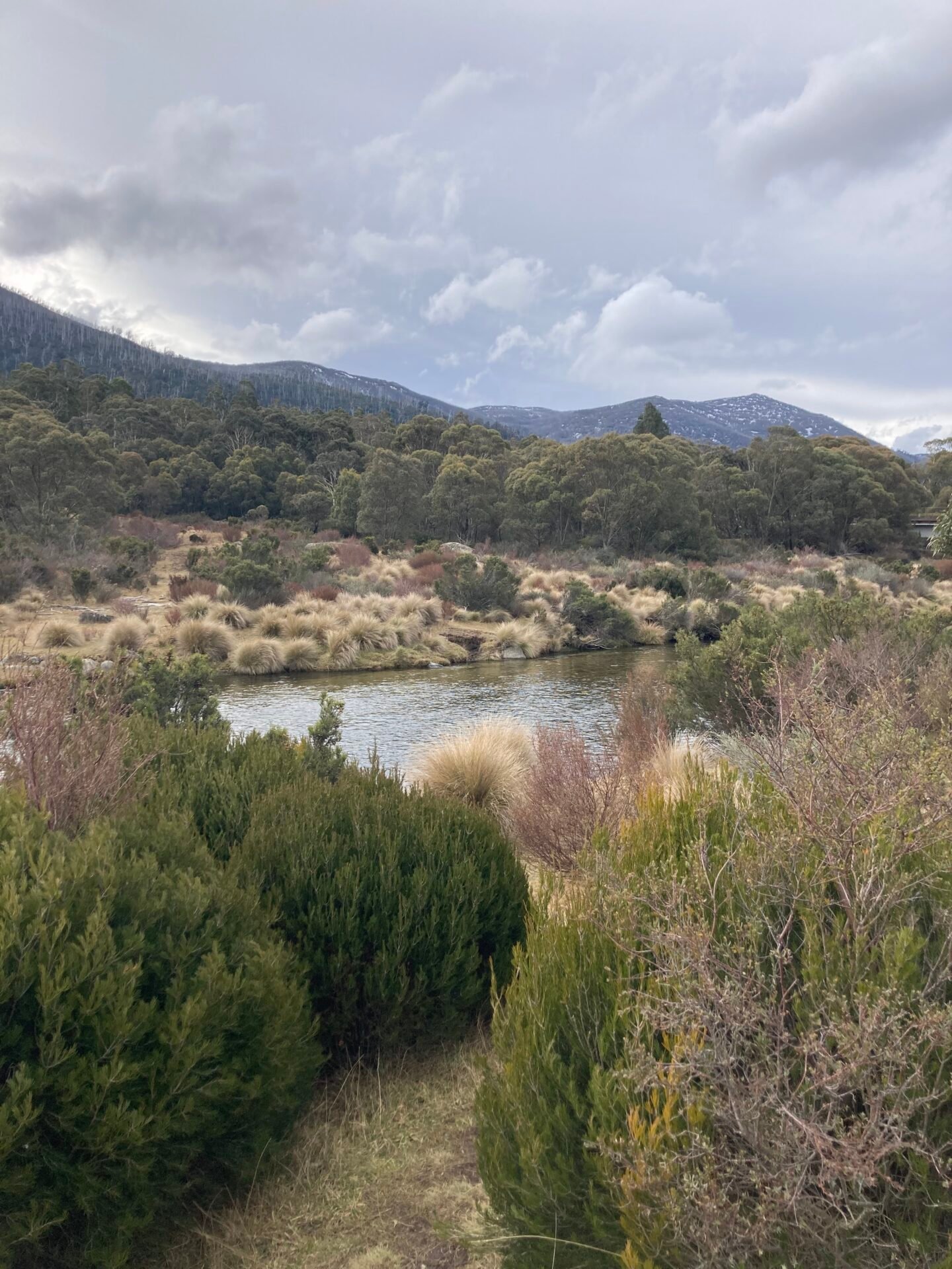 Bullocks Flat Walk Jindabyne