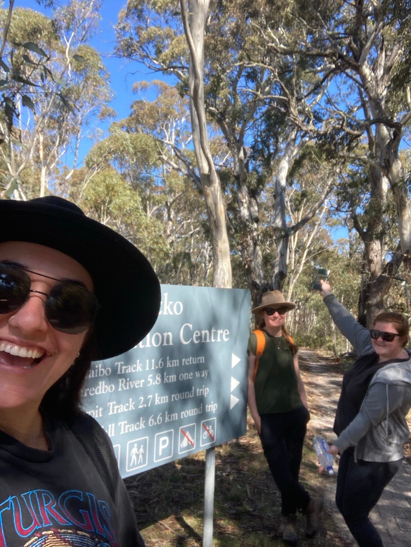 Sawpit Creek Waterfall Track