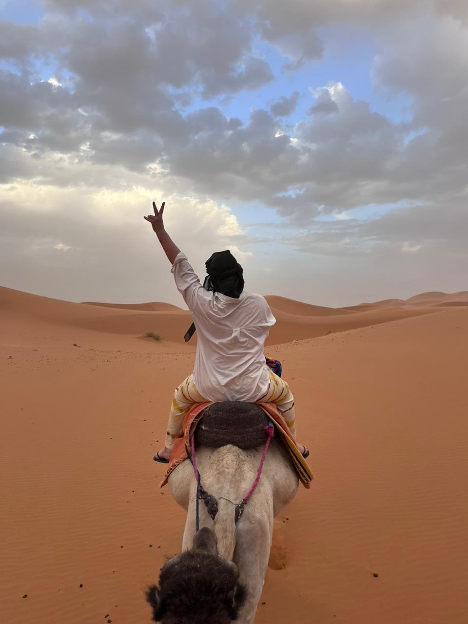 Exploring the Sahara Desert of Morocco on camelback, with the vast golden dunes stretching into the distance under the clear desert sky, creating a sense of adventurous exploration and connection with the desert landscape.