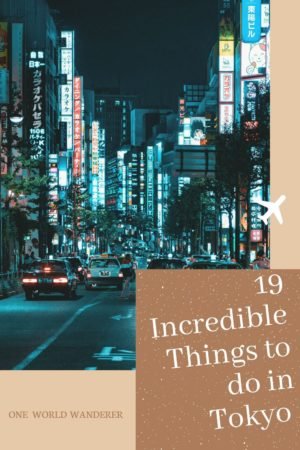 The best quirky, fun and cool things to do in Tokyo including famous attractions, hidden gems, and crazy experiences. Plus helpful Tokyo tips. #tokyo #japan #traveljapan