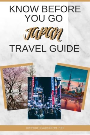 First time in Japan? Travelling to Japan but not sure what to expect? Here's my top guide for what you need to know before you visit Japan. -- PIN FOR LATER -- #tokyo #japantravel
