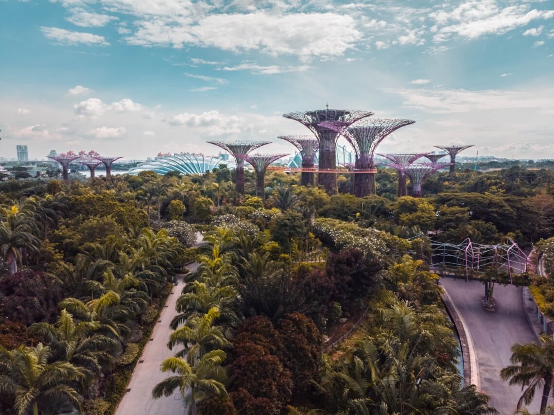 The beautiful Gardens By The Bay in Singapore from an aerial viewpoint with the large Supertree Grove Trees