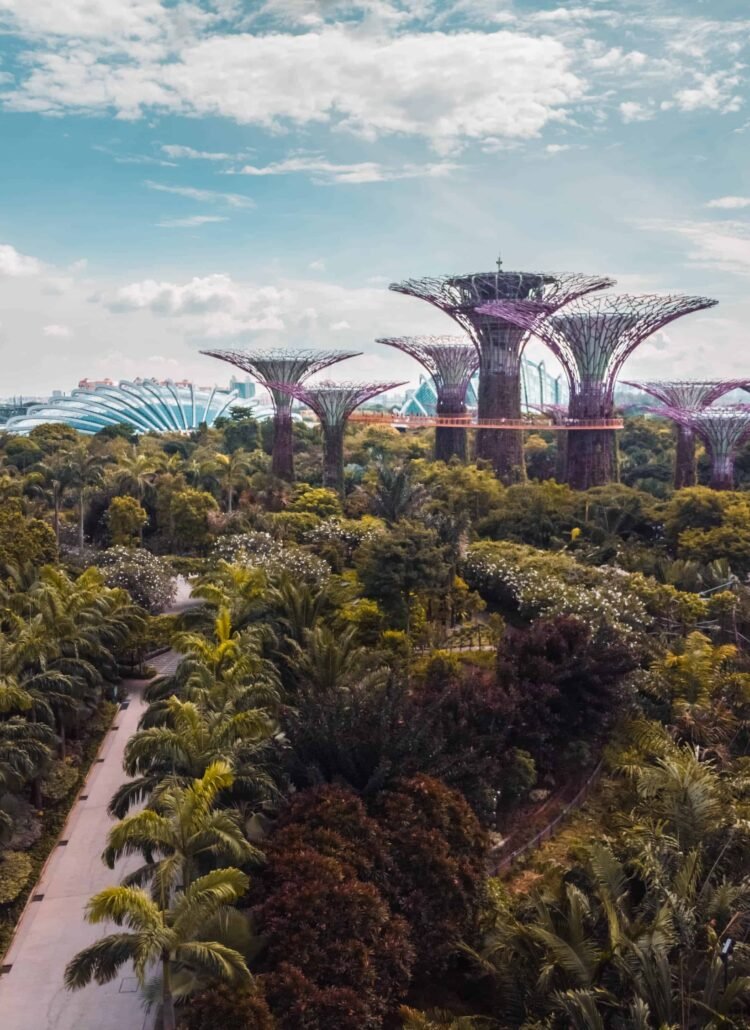 The beautiful Gardens By The Bay in Singapore from an aerial viewpoint with the large Supertree Grove Trees