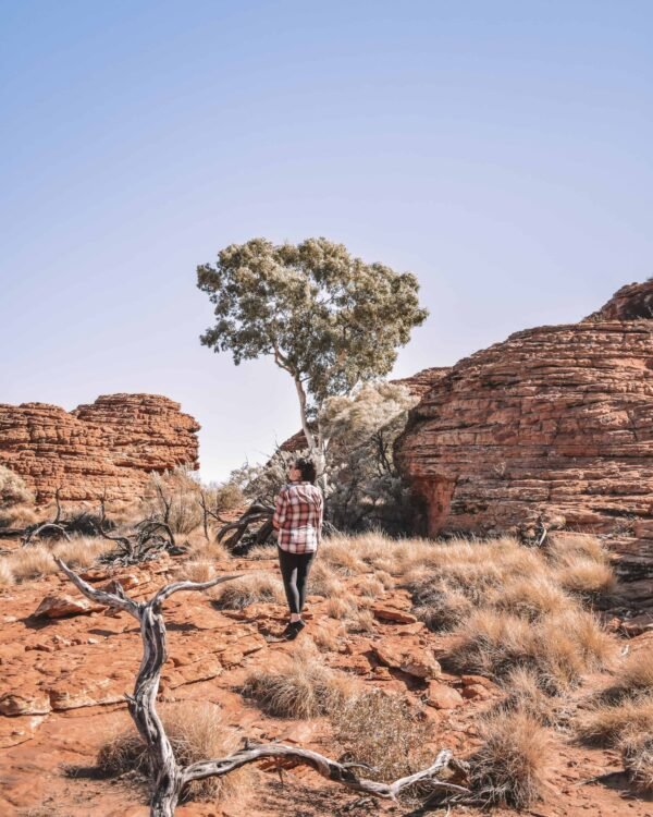 Kings Canyon Hike, Central Australia