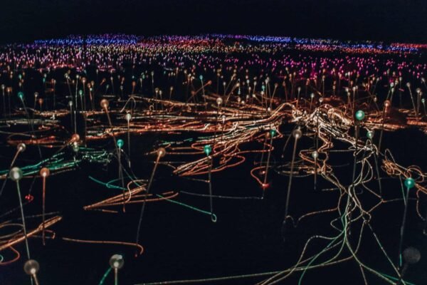 Field of Lights at Uluru in Central Australia