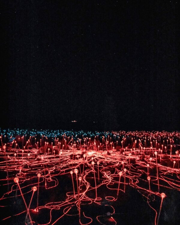 Field of Lights at Uluru in Central Australia