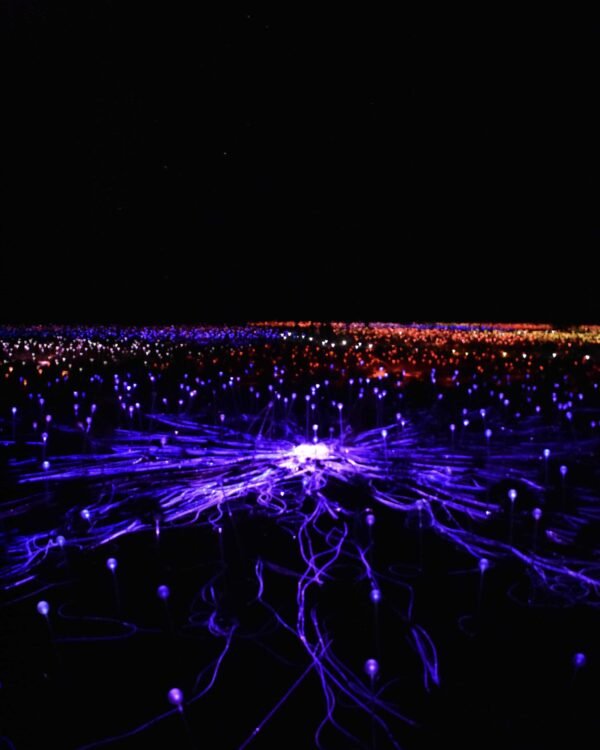 Field of Lights at Uluru in Central Australia