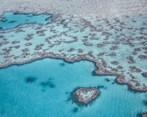 Exploring the Great Barrier Reef by Helicopter- the popular Heart Reef in the Whitsundays