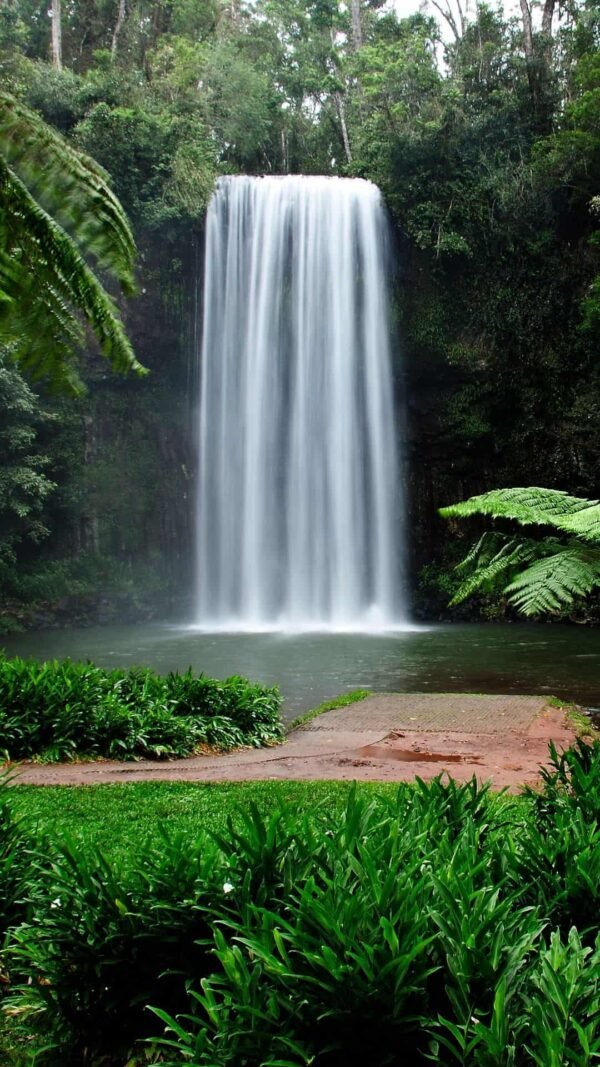 Millaa Millaa Waterfall Circuit in North Queensland Australia