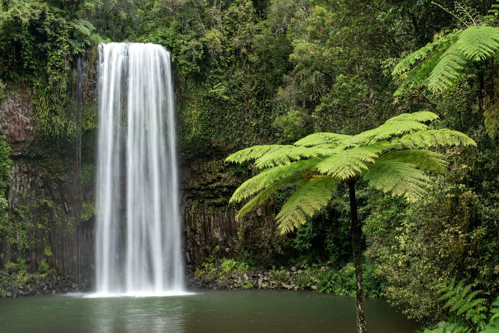 12 Places First-Timers Need to Visit in the Atherton Tablelands