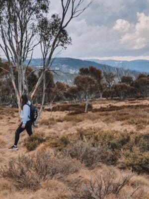 Thredbo river Walking Track