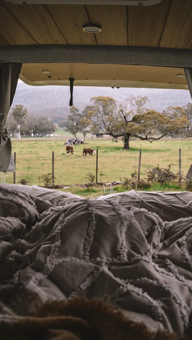 Who would have thought this unorganised van girly would eventually become organised? 🤣 Thanks 
@voygtravel for making all my travels easier 💚