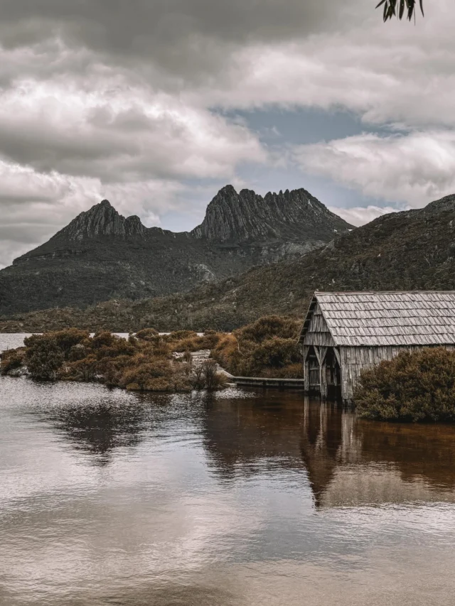 Moments from Cradle Mountain ⛰️ 

@visitcradlemountain @tasmania