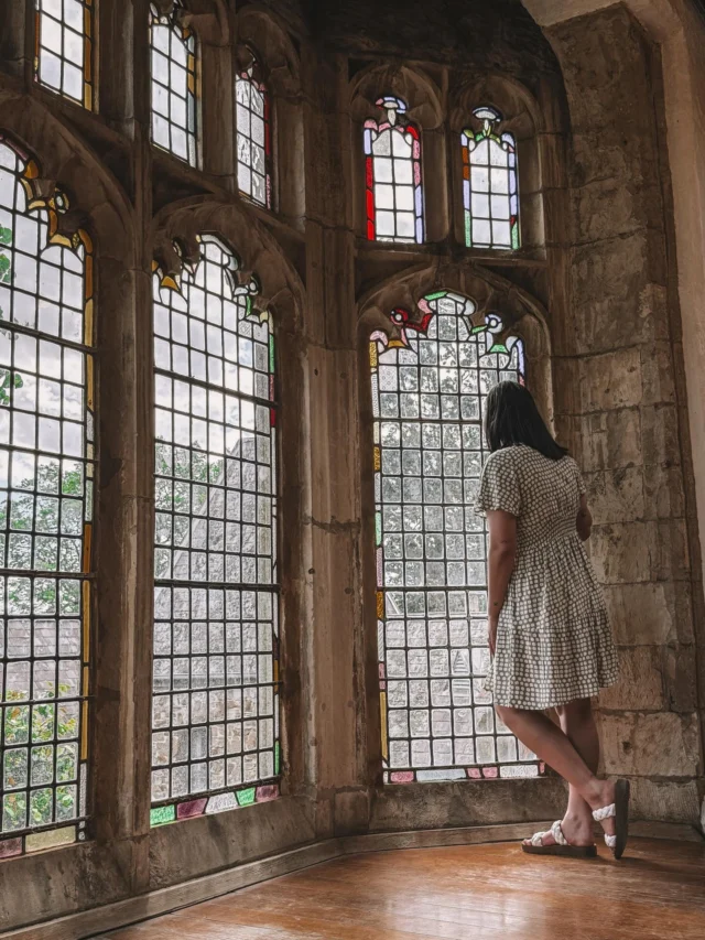 January: a wholesome, relaxing month despite the several menty B’s because… well… puppy life 🤣