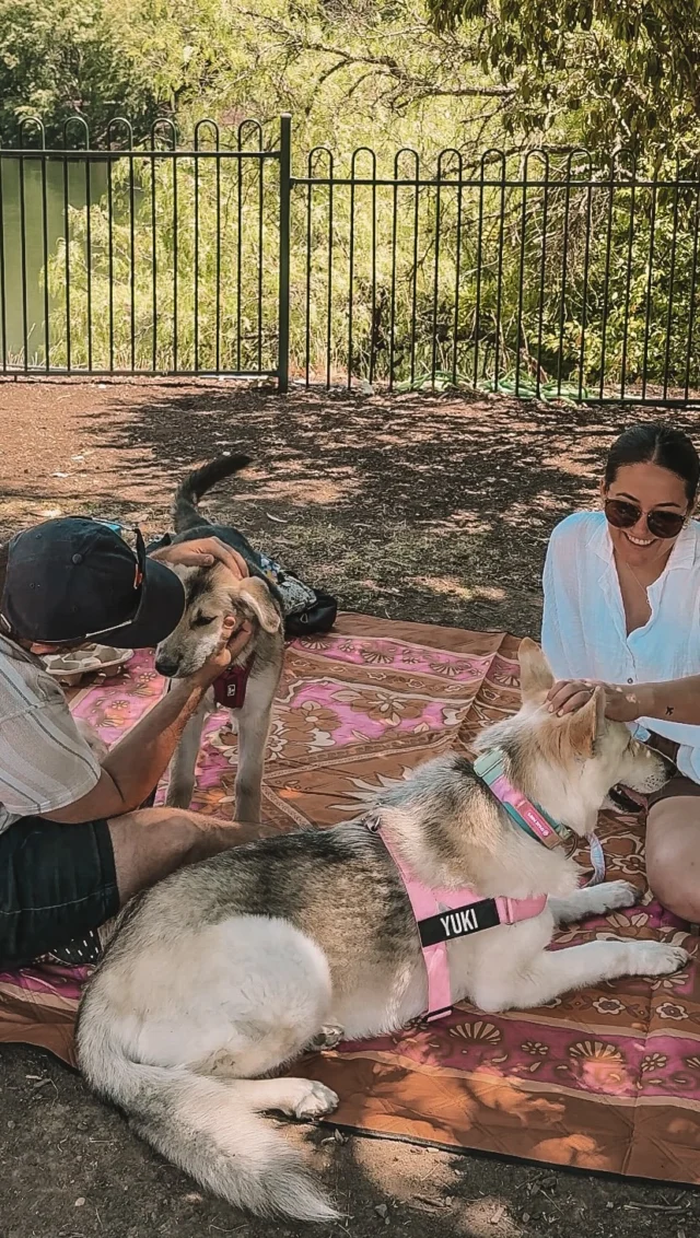 Not really sure what happiness is… but I’m 99% sure it’s coffee in my hand, my dogs by my side, and dirt under my shoes. 🌿🐶☕ 

Also, shoutout to @stylish.hound for their amazing dog pouches. They make it wayyyy easier to carry dog treats, poop bags, and whatever else we need so we can actually enjoy our family adventures instead of having to juggle everything.
