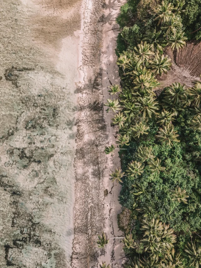 A few things our drone saw in Fiji 🥥🌴 @harrison.d.gatherum