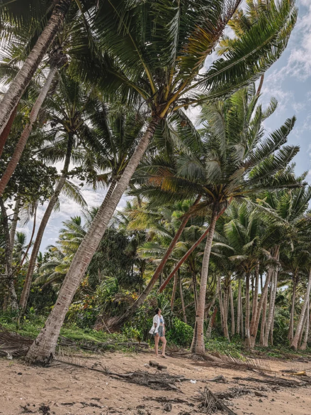Took a leaf out of Jake Peralta’s honeymoon book: A.B.C. Always. Be. Coconuting. 🥥🌴

Thankful that Fiji has the best coconuts! 😉 @tourismfiji